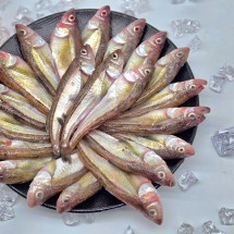 동해안 제철 햇 도루묵 1kg