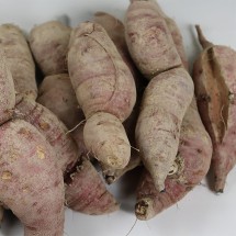 여주 못난이 꿀고구마 2kg