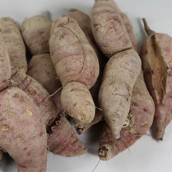 여주 못난이 꿀고구마 2kg