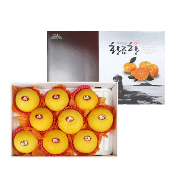 제주 황금향 선물세트 2kg