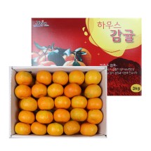 제주도 고당도 하우스 감귤 선물세트 2kg