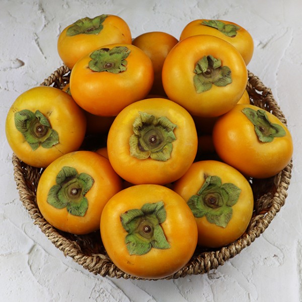 국내산 프리미엄 후르츠 단감 2.5kg 실속