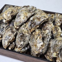 여수 겨울 제철 석화 각굴 5kg