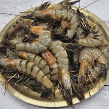 서해안 제철 급냉 대하 1kg