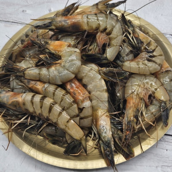 서해안 제철 급냉 대하 1kg