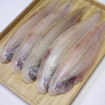 쫄깃쫄깃 반건조 박대 대 5미