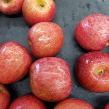 경북 가정용 부사 사과 꼬마 5kg