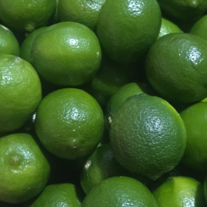 수입산 라임 생과 10과 대과
