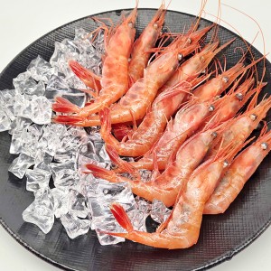 동해안 제철 단새우 1kg