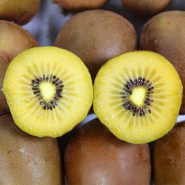 고흥 해풍맞은 골드키위 3kg 중과