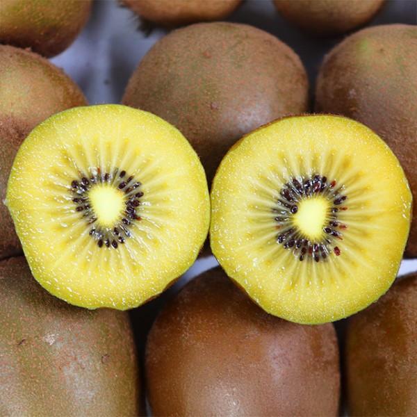 고흥 해풍맞은 골드키위 3kg 중과