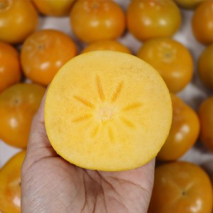 경남 밀양 부유단감 5kg 알뜰과