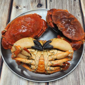 수입산 자숙 브라운 크랩 던지니스 1kg