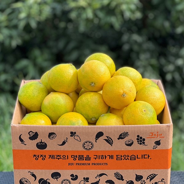 제주 황금향 가정용 1.5kg 소과