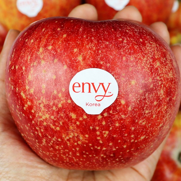 국내산 주먹 엔비사과 2kg