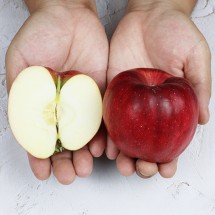 경북 청송 부사 사과 가정용 3kg