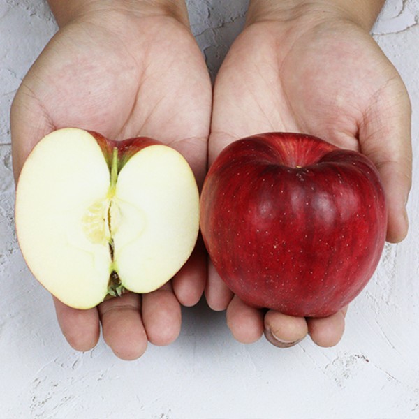 경북 청송 부사 사과 가정용 3kg