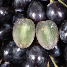 아삭아삭 씨없는 고당도 블랙포도 1kg