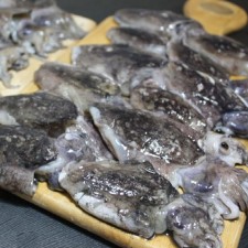 군산 급냉 베이비 갑오징어 1kg
