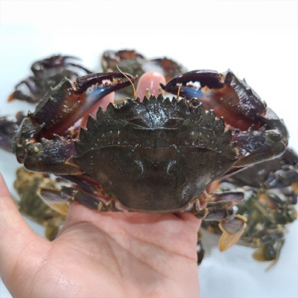 국내산 급냉 돌게 박하지 1kg 게장용 간장게장