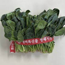 해풍맞은 포항 영해초 시금치 1단