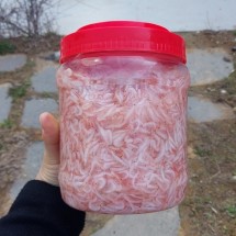 신안 햇새우젓 오젓 1kg 김장 양념