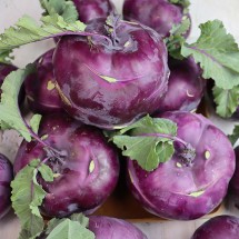 제주 고당도 햇 콜라비 3kg