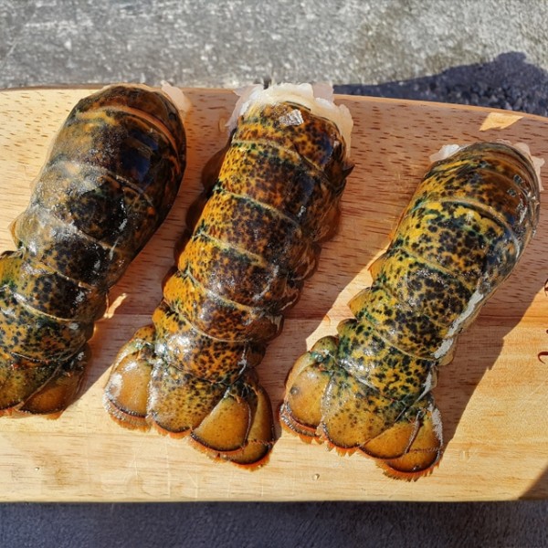 캐나다 냉동 랍스터테일 랍스터꼬리 1미