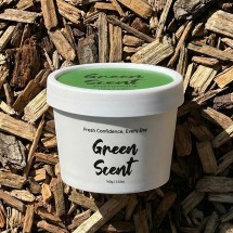 그린센트 에브리데이 비치형 고체 탈취제 100g 편백 머스트향 외