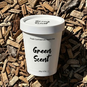그린센트 에브리데이 비치형 고체 탈취제 260g 편백 머스트향 외