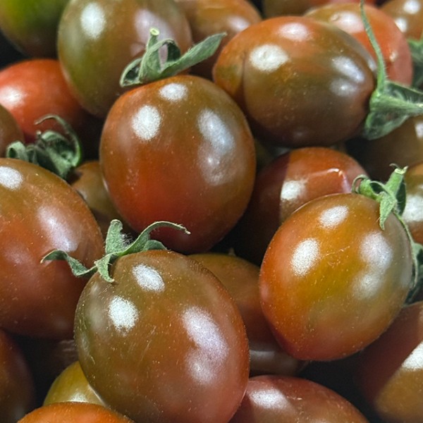 1번 2번 특품 흑대추 방울토마토 500g