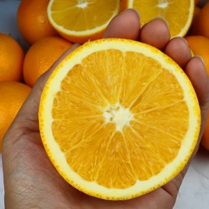 고당도 수입 오렌지 15과 (3kg 내외)