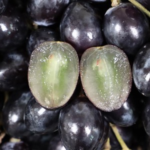 아삭아삭 씨없는 고당도 블랙포도 1kg