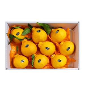 백화점용 프리미엄 한라봉 실속 선물세트 3kg