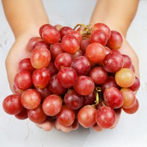 고당도 크림슨포도 1kg