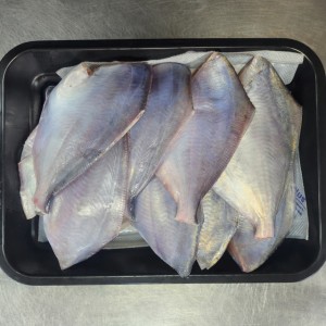 남해안 완벽 손질 병어 횟감 500g x 1팩