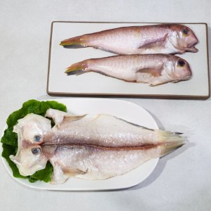 반건조 제주 옥돔 3미