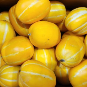 가정용 성주 참외 못난이 1kg