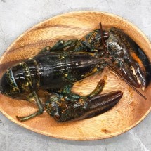 캐나다 항공직송 활 랍스터 1마리 500g