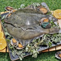 국내산 활 도다리 쑥국 전복 세트 1kg 내외