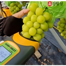 스테비아 고당도 샤인머스캣 2kg