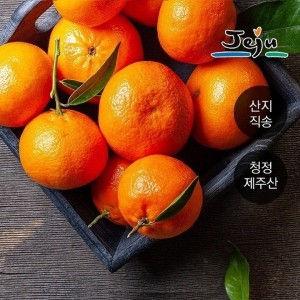 제주도 조생 노지감귤 중과 10kg (120과 내외)