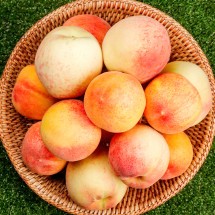 하우스 복숭아 2종