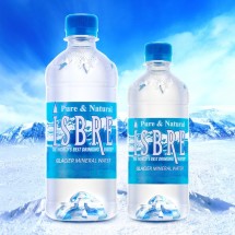 이즈브레 먹는샘물 500ml x 24ea