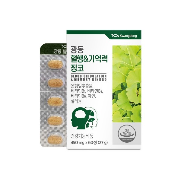 광동 혈행&기억력 징코 60정